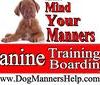Mind Your Manners Canine Training