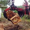 Florida Tree and Sod, llc.